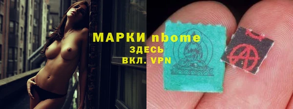 прущие грибы Алзамай
